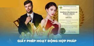 Giấy Phép Hoạt Động Nohu