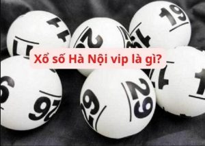 Hà Nội Vip Nohu
