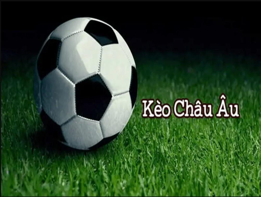 Tìm hiểu về khái niệm kèo châu Âu Nohu là gì?