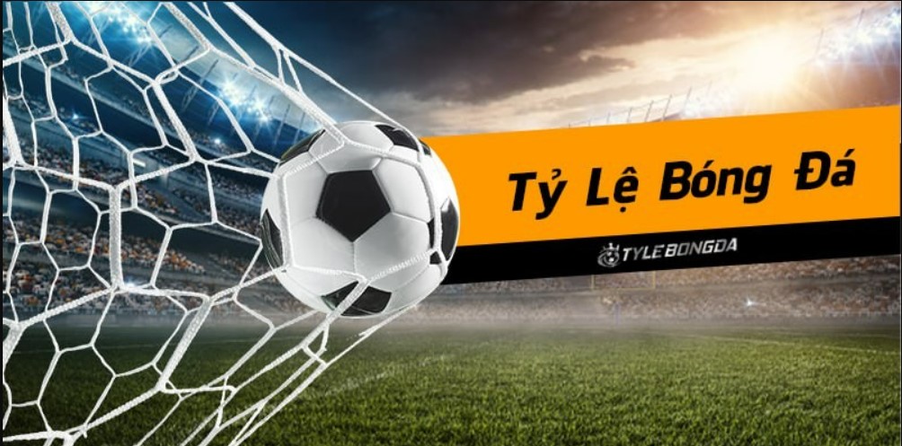 Nguyên tắc ra kèo nhà cái mà người mới tham gia nên biết
