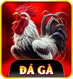 Đá gà